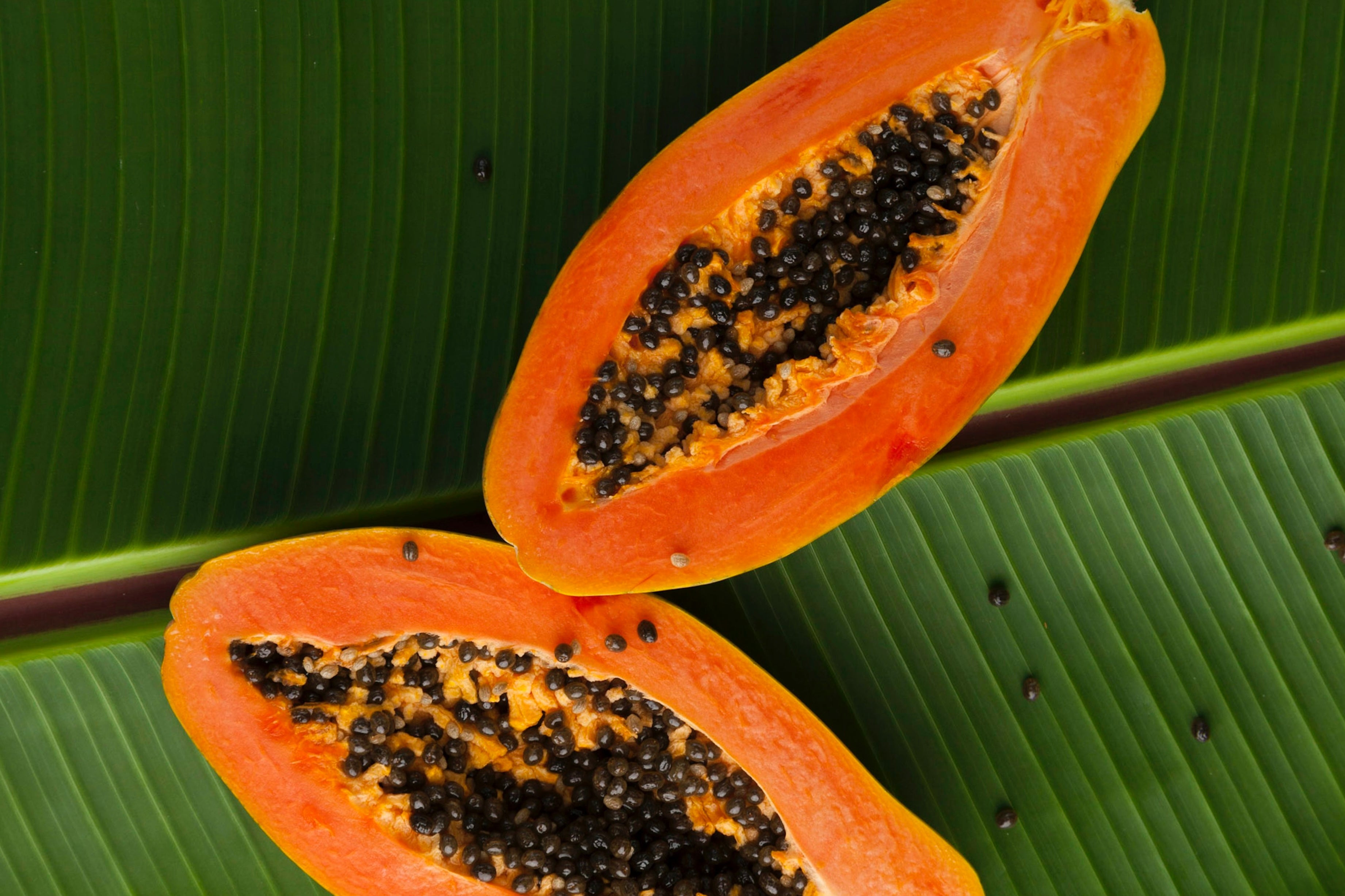 The Power of Papaya