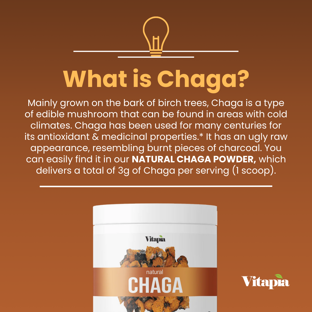 Natural Chaga Mushroom Powder