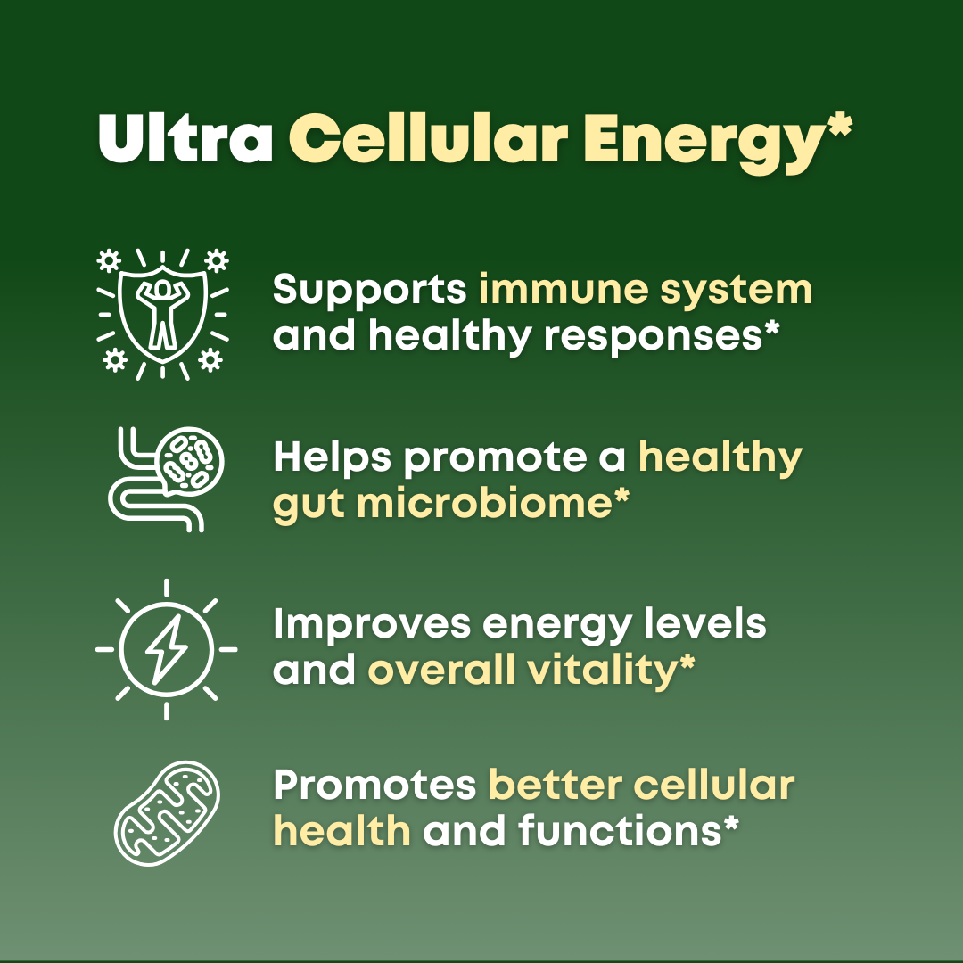 Beta Glucan & Fucoidan