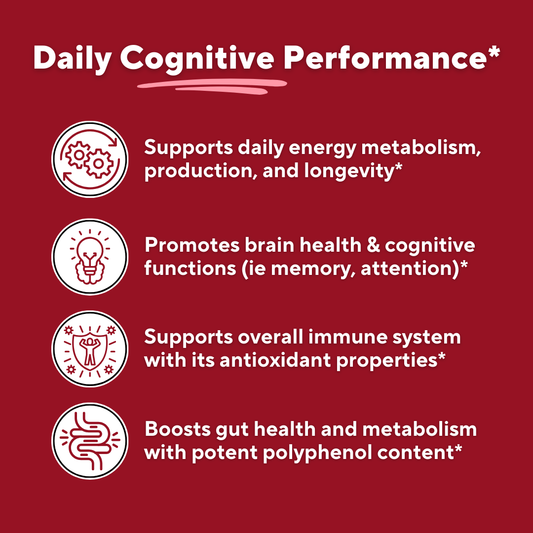 Coffee Clarity Bundle