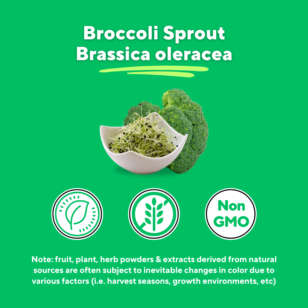Broccoli Sprout Powder