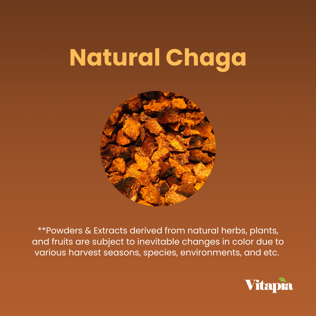 Natural Chaga Mushroom Powder