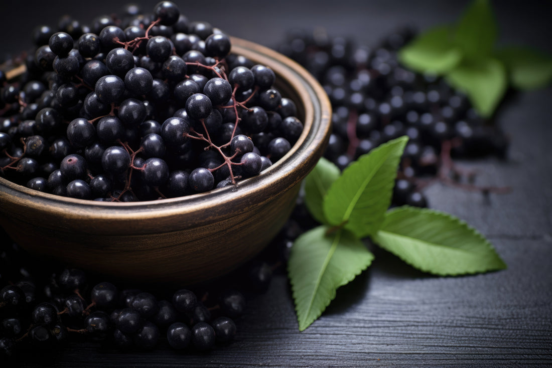 Maqui Berry: The Most Underrated Superfruit from South America