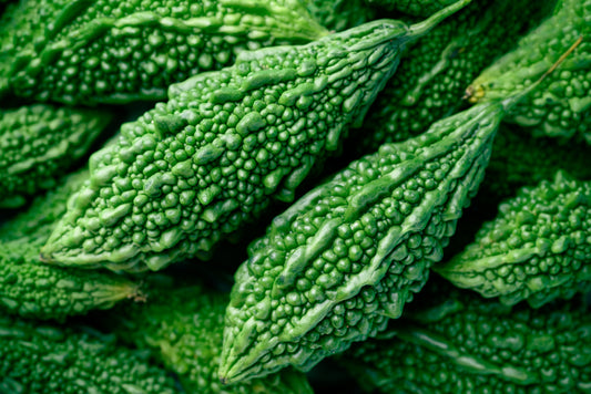 Bitter Melon Supplements for Blood Sugar & Metabolic Health