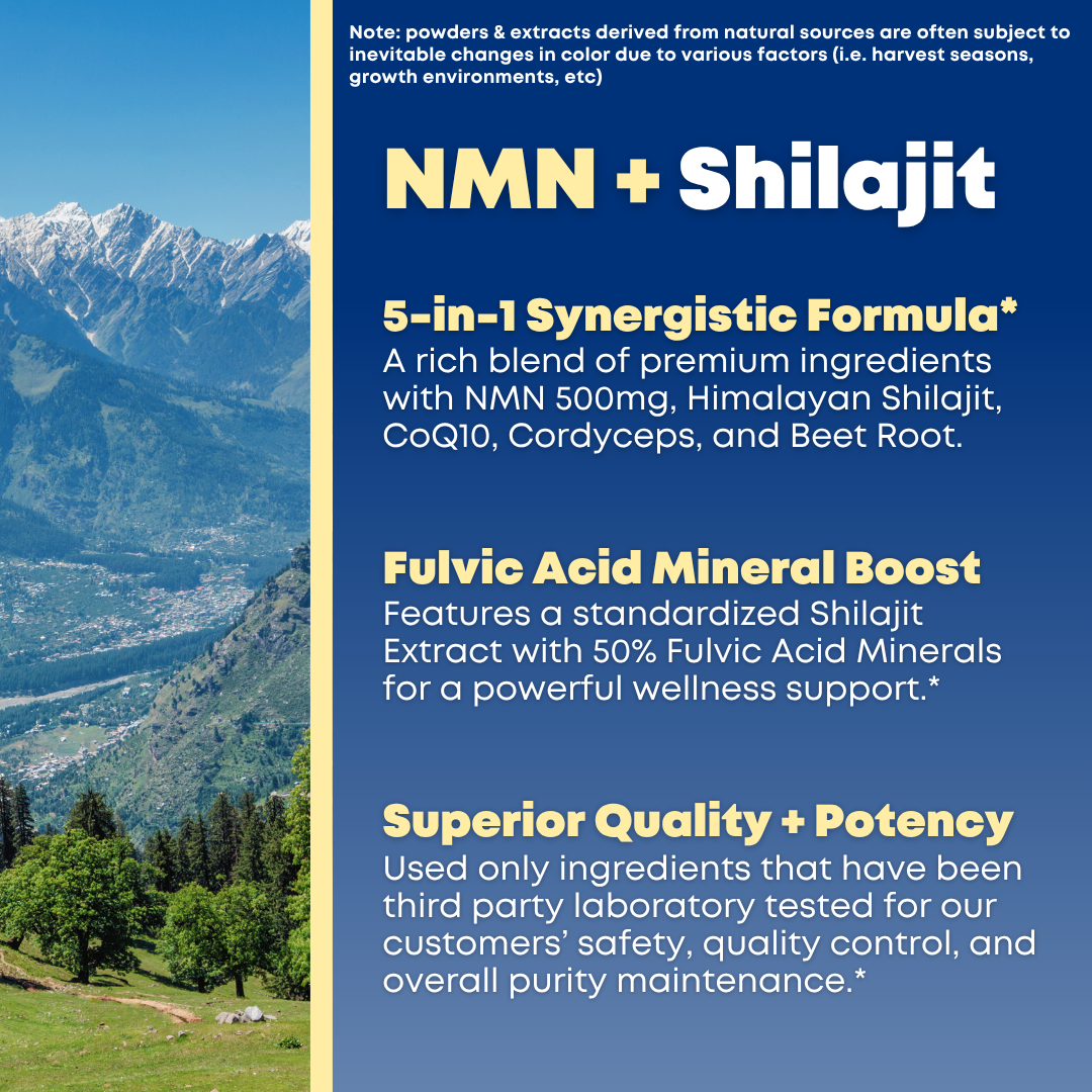 NMN Shilajit