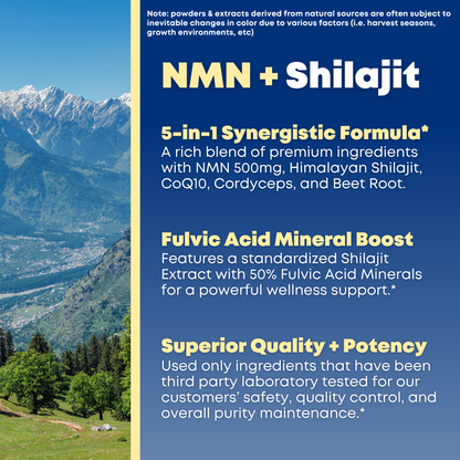 NMN Shilajit