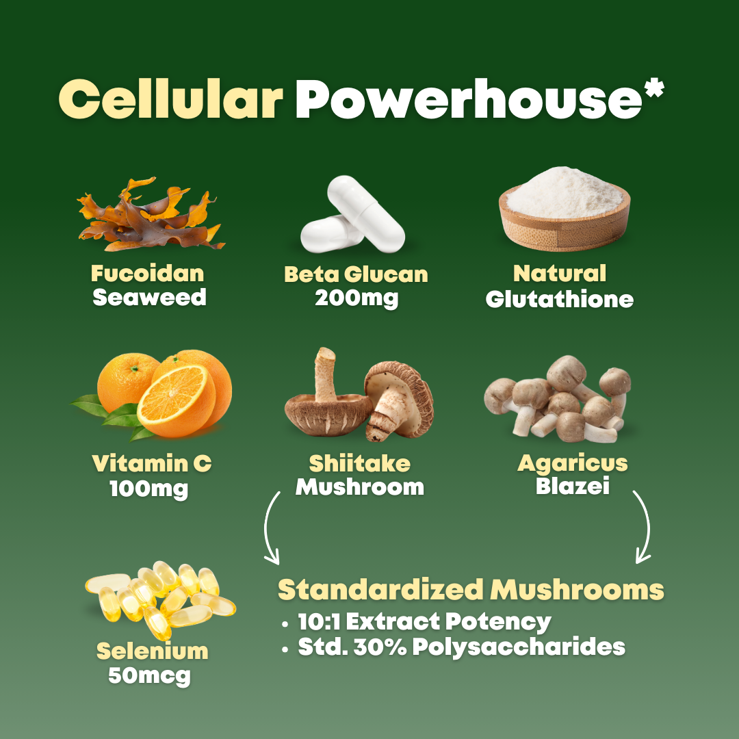 Immunity Powerhouse Duo Bundle