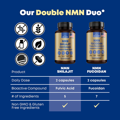 NMN Shilajit