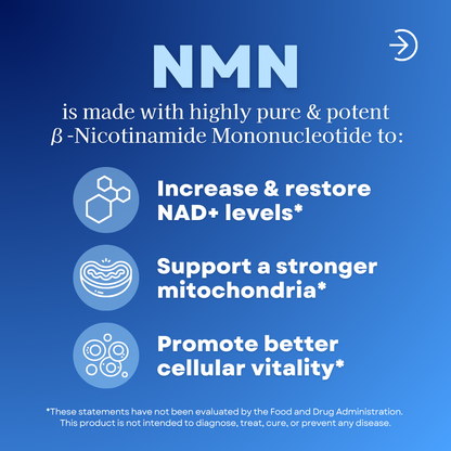 NMN (β-Nicotinamide Mononucleotide)
