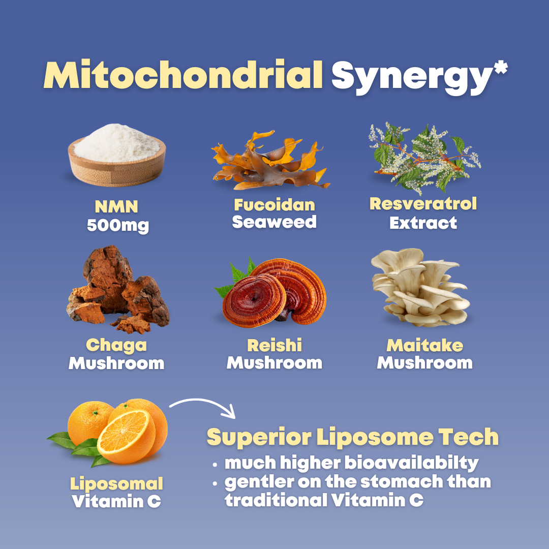 NMN & Fucoidan