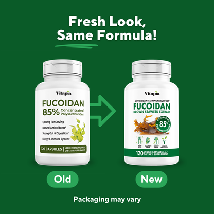 Fucoidan 85%