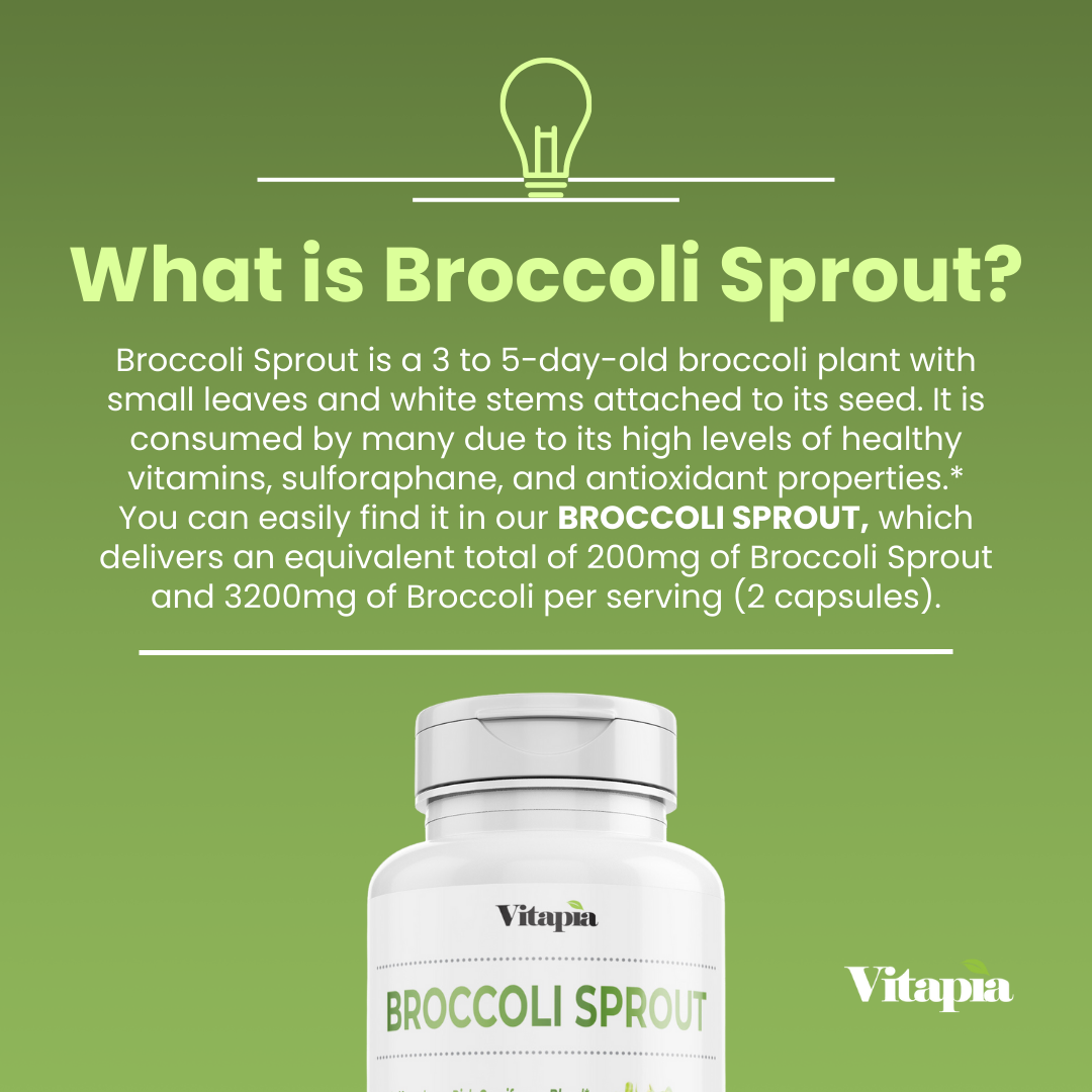 Broccoli Sprout