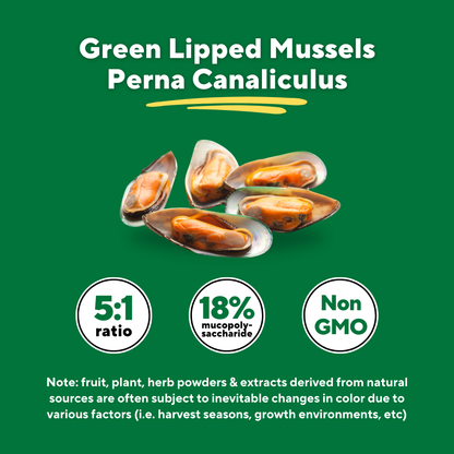 Green Lipped Mussel