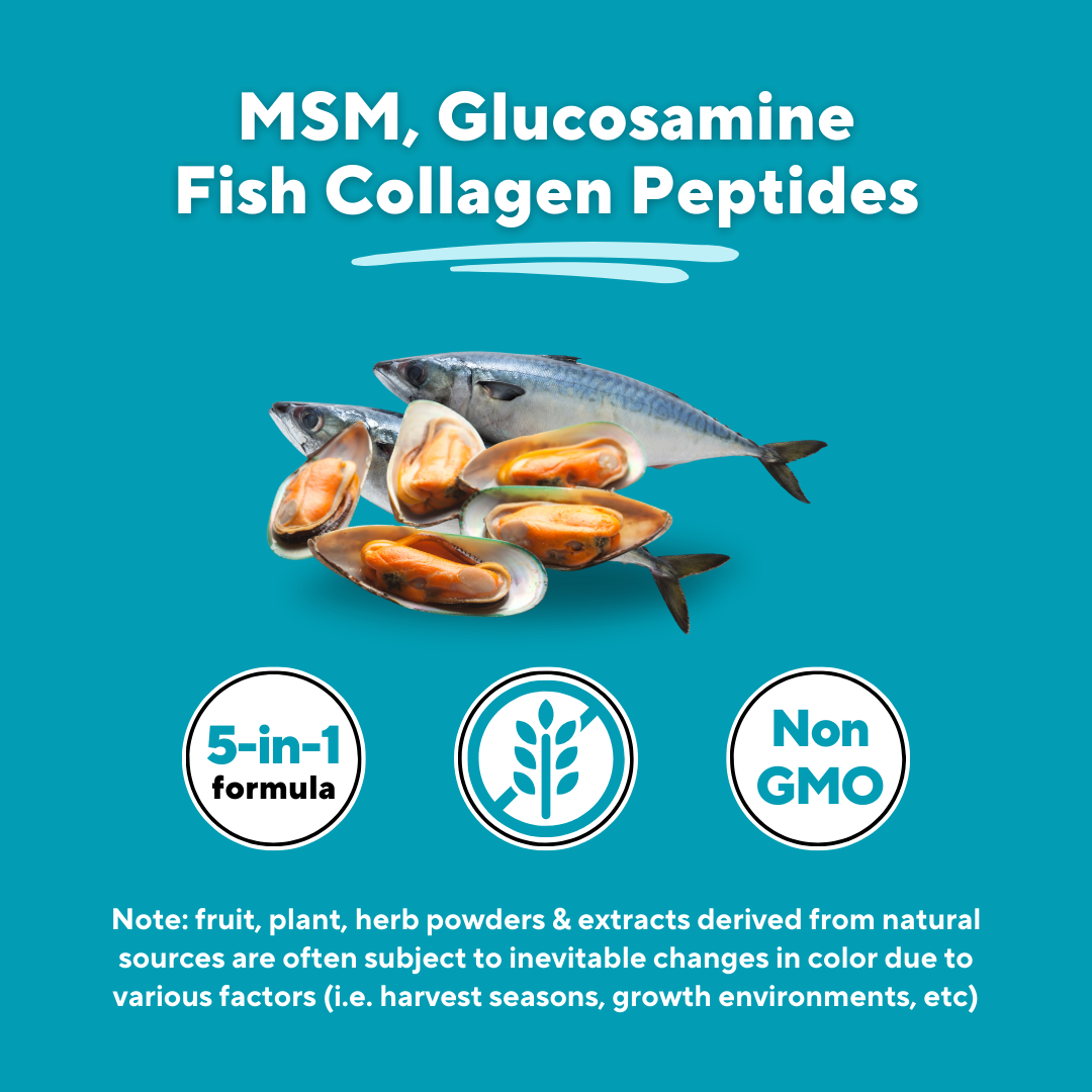 MSM + Glucosamine