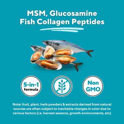 MSM + Glucosamine
