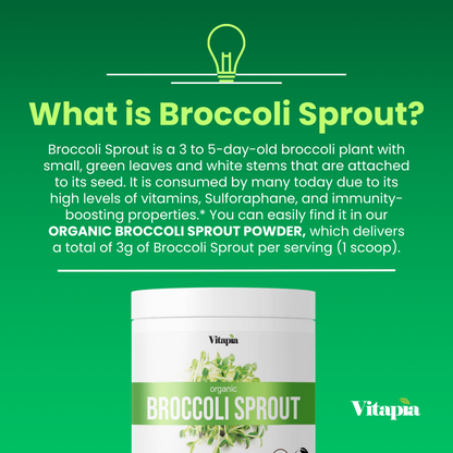Organic Broccoli Sprout Powder