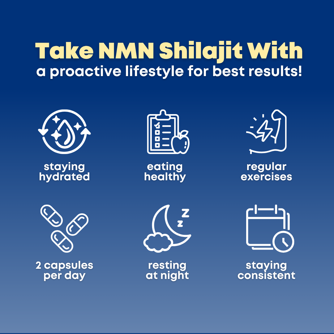 NMN Shilajit