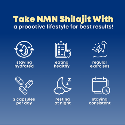NMN Shilajit