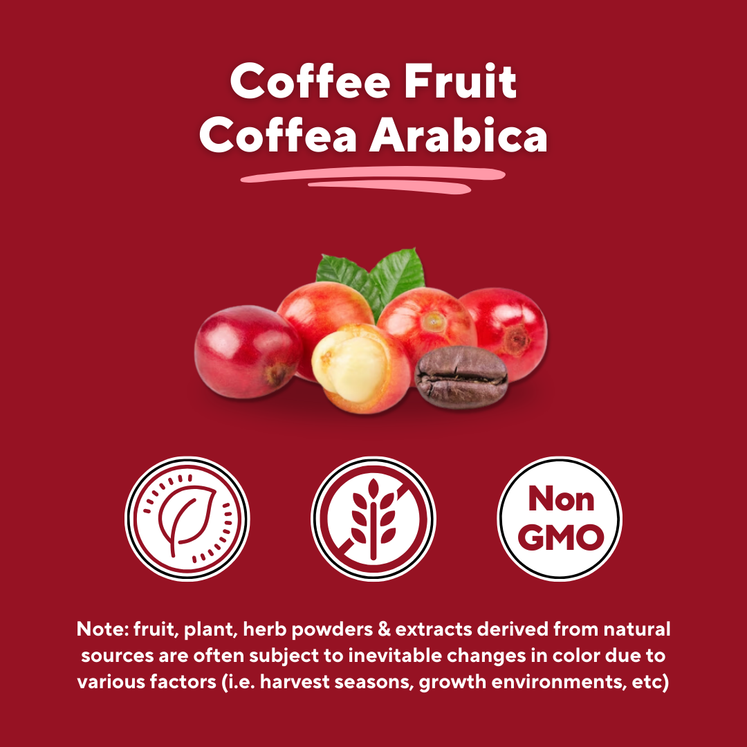 Coffee Clarity Bundle