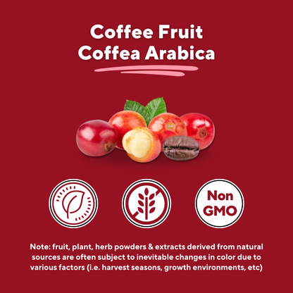 Coffee Clarity Bundle