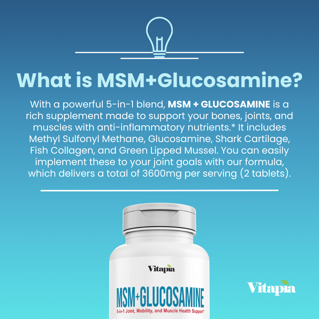 MSM + Glucosamine