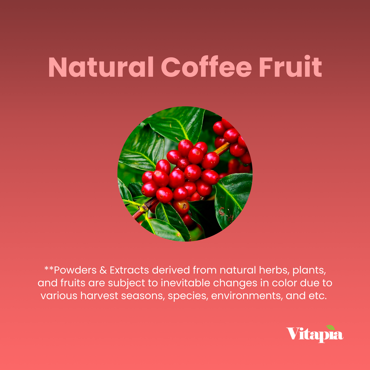 Vitacoffee Coffee Fruit