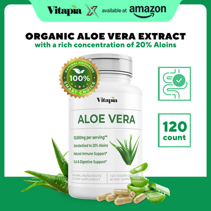 Aloe Vera