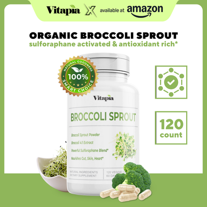 Broccoli Sprout