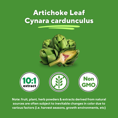 Artichoke Leaf