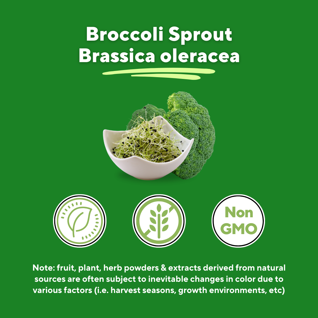 Broccoli Sprout