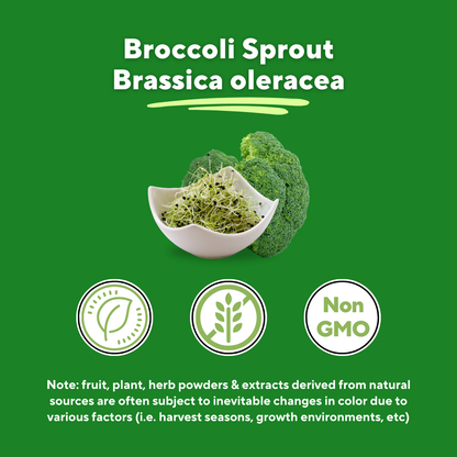 Broccoli Sprout