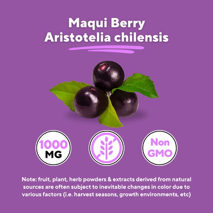 Maqui Berry