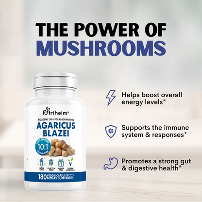 Agaricus Blazei Mushroom