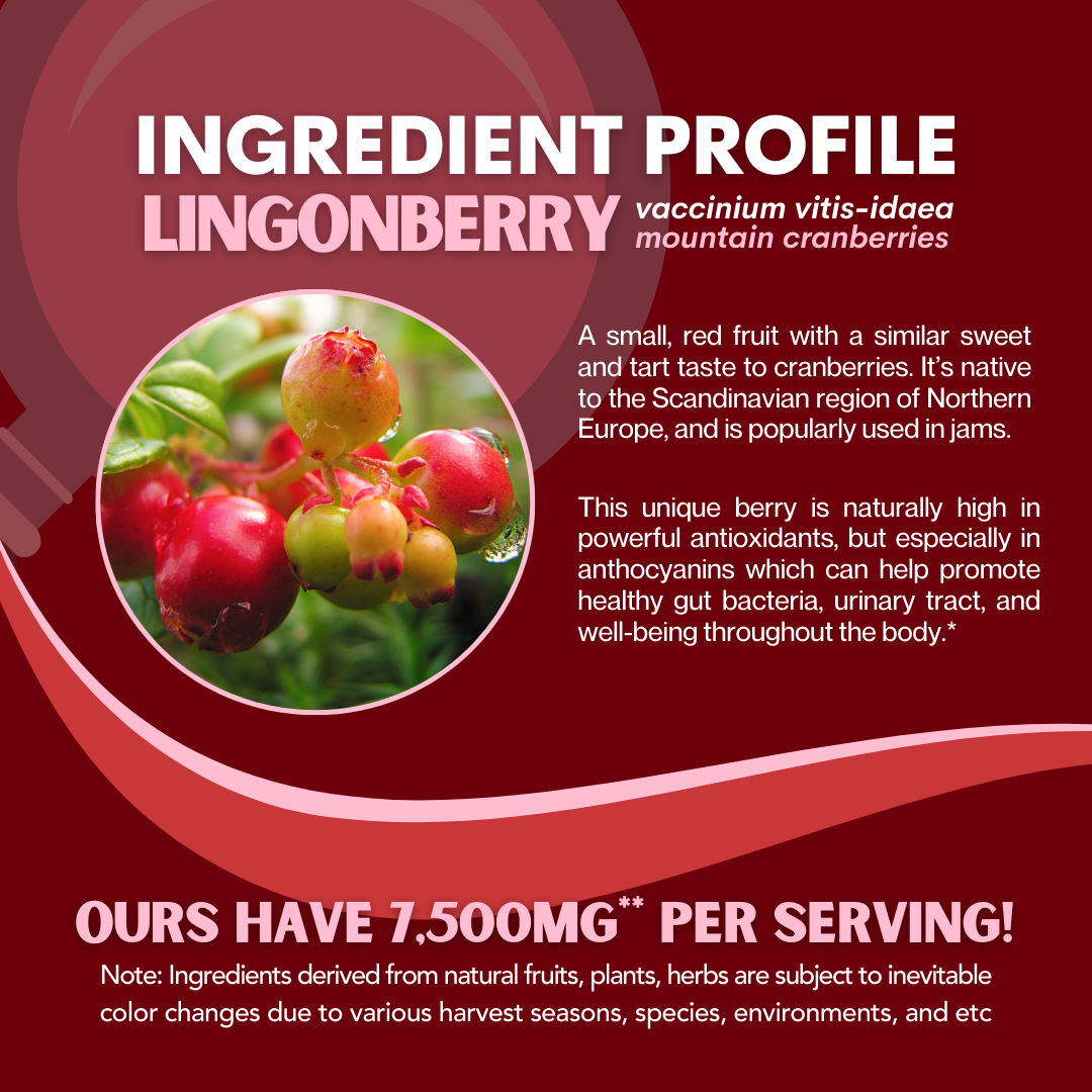Lingonberry