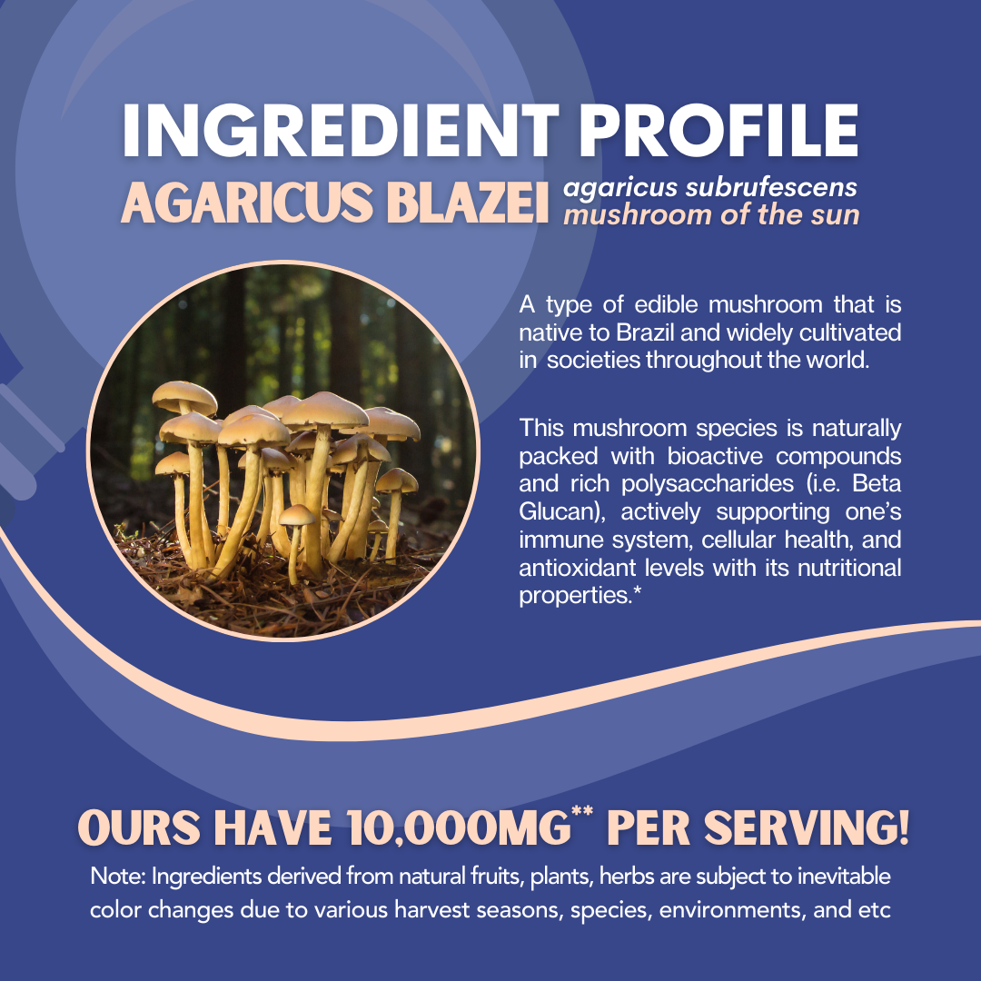 Agaricus Blazei Mushroom